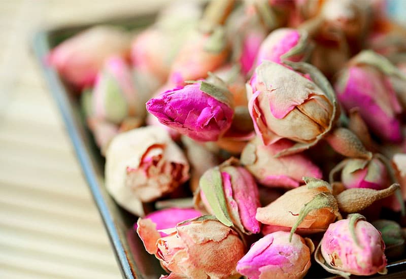 تصویر 4 از غنچه گل محمدی لاله زار کرمان با رنگ طبیعی و زیبا